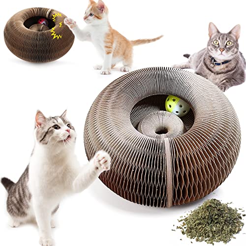 TheKURIN™ Magic Organ Cat Scratching Foldable Board