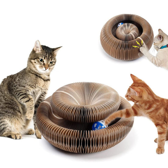 TheKURIN™ Magic Organ Cat Scratching Foldable Board