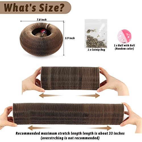 TheKURIN™  Magic Organ Cat Scratching Foldable Board