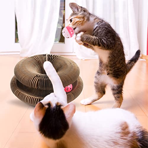 TheKURIN™  Magic Organ Cat Scratching Foldable Board