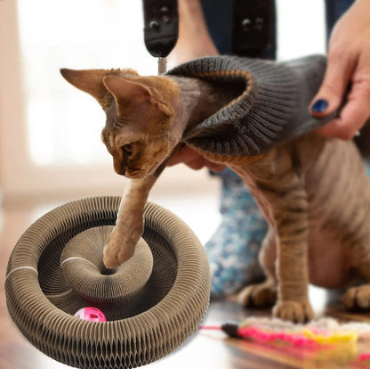 TheKURIN™  Magic Organ Cat Scratching Foldable Board